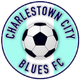 查尔斯顿女足logo
