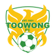 图旺女足logo