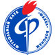 沃罗涅日火炬II队logo