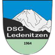 DSG莱德恩尼泽logo