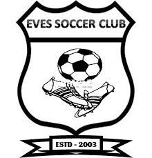 艾维斯SC女足logo
