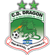德拉贡女足logo