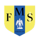 FMS斯特泽林U19logo
