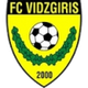 维德兹尔斯logo