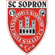 索普龙logo