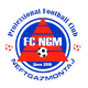 尼菲特加兹蒙塔logo