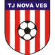 TJ  新星队logo