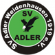 SV登豪斯logo