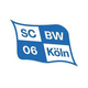SC蓝维斯logo