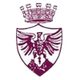 博尔戈塞logo
