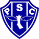 佩桑杜女足logo