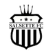 萨尔塞特logo