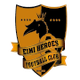 埃米英雄女足logo