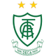 阿美利加明尼路女足logo