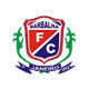 巴巴利亚logo