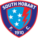 南霍巴特二队logo