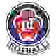 路伦士高格logo