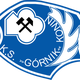 戈尔尼克科宁logo