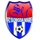 史洛布兹亚logo