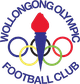 卧龙岗奥运logo